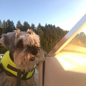 Meet your Posher, Courtney